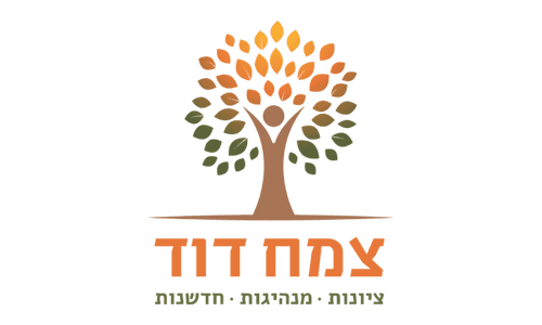 קרן צמח דוד